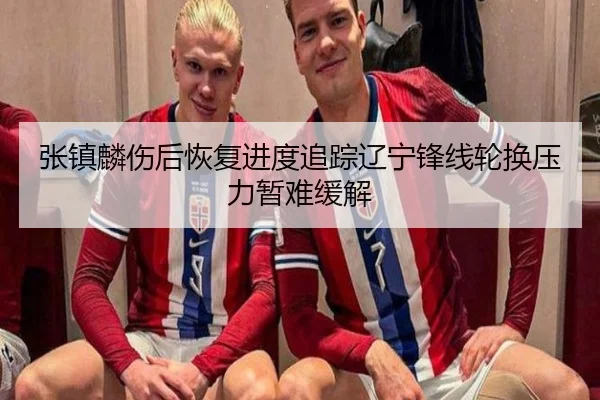 张镇麟伤后恢复进度追踪辽宁锋线轮换压力暂难缓解